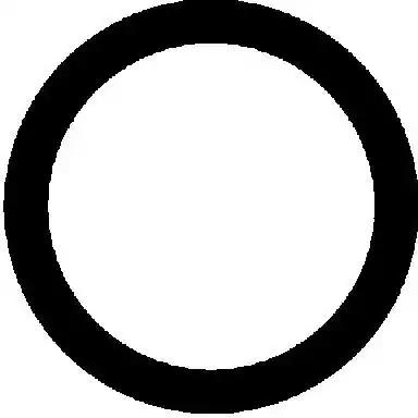 Прокладка труба выхлопного газа 712366220 VICTOR REINZ