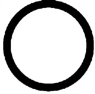 Прокладка впускного коллектора 713164700 VICTOR REINZ