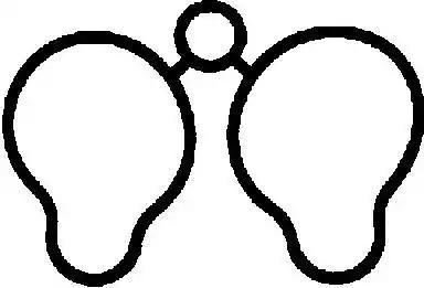 Прокладка впускной коллектор 713436100 VICTOR REINZ