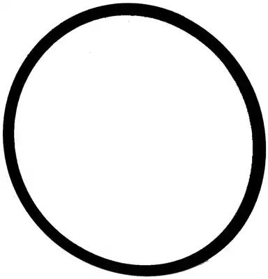 Прокладка корпус впускного коллектора 713763100 VICTOR REINZ